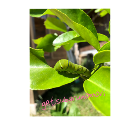 C3ef66af 5135 4eb7 915b 958733337cbf s