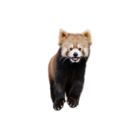 43ad52c6 e37f 433f 9e7d 41a0221f669e s