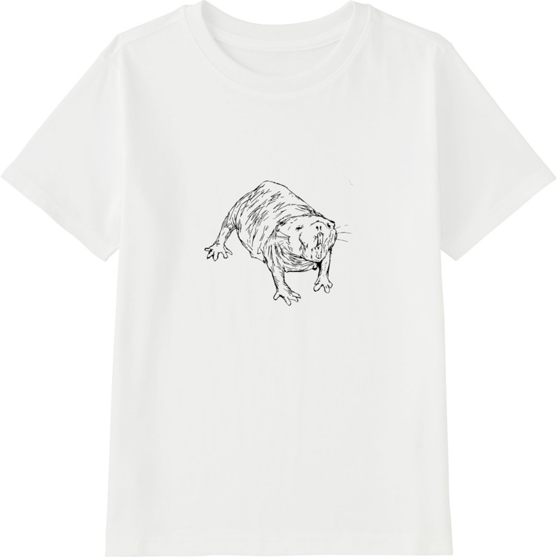 Db99be82 881e 4bbc aa5c 5baf4cdfaf3d 45 print ll