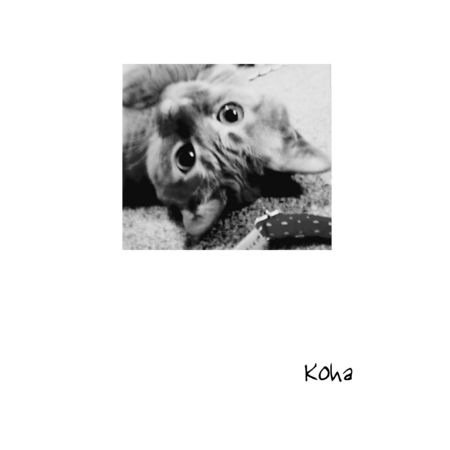 2cc2aa7b 6bc3 47b6 b0f2 6113f9e9851b s