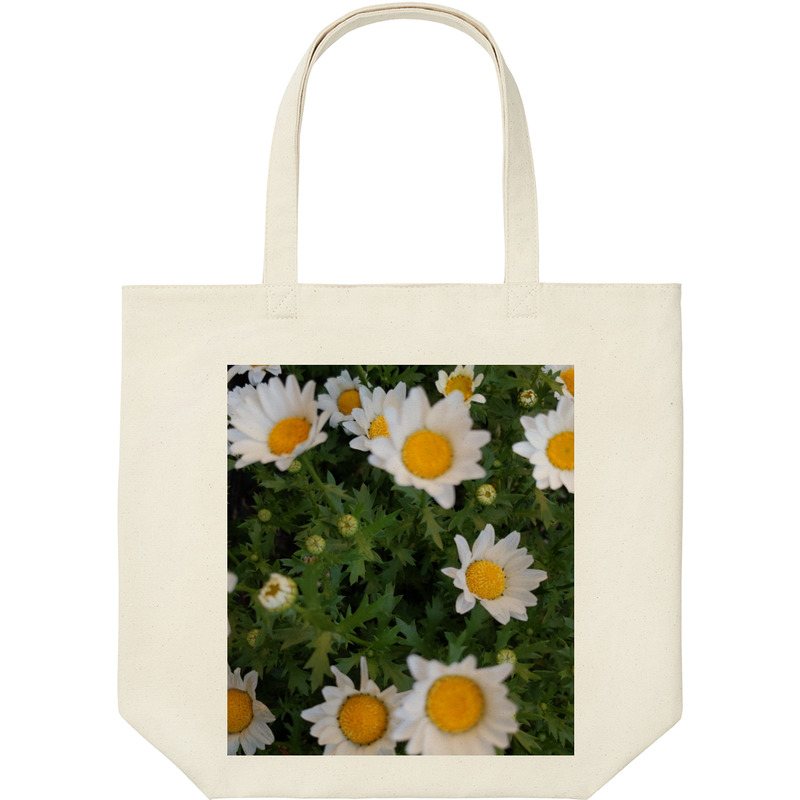 565ba23a 0e0c 4312 9e32 6a2f3b035c83 9 print ll