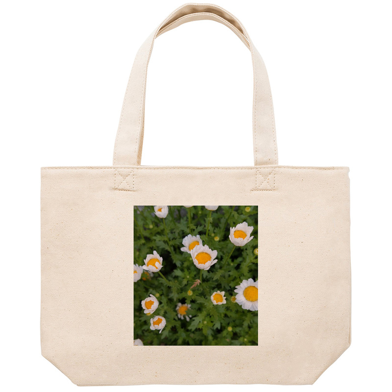 021137cb 6345 4965 bc98 abffb86bc447 53 print ll