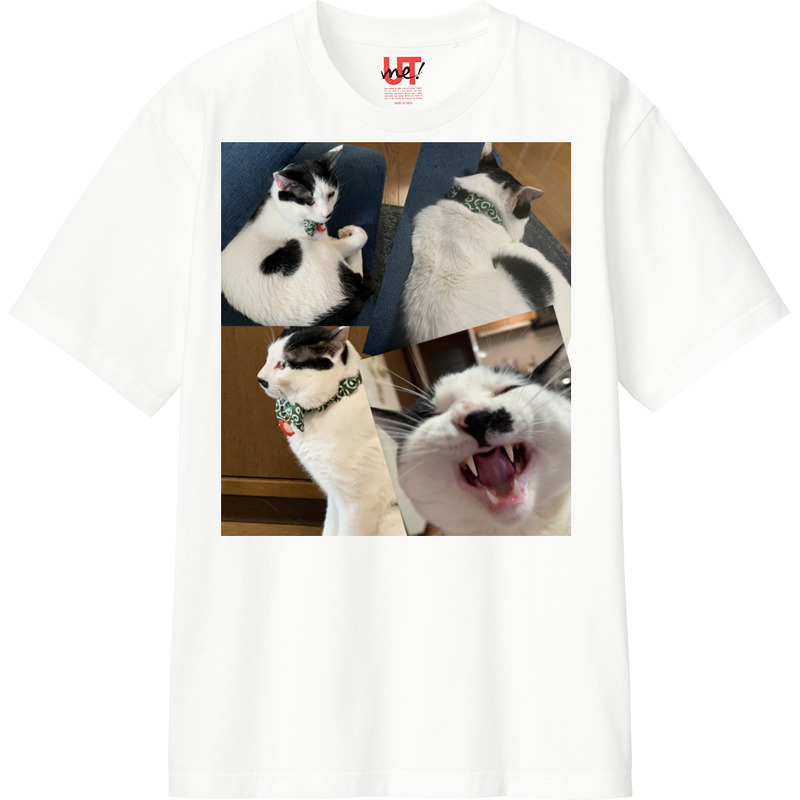 C87a78de 9186 453f b4ed 0a8e7b61c7c1 110 print ll