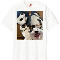 C87a78de 9186 453f b4ed 0a8e7b61c7c1 110 print s