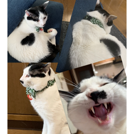 C87a78de 9186 453f b4ed 0a8e7b61c7c1 s