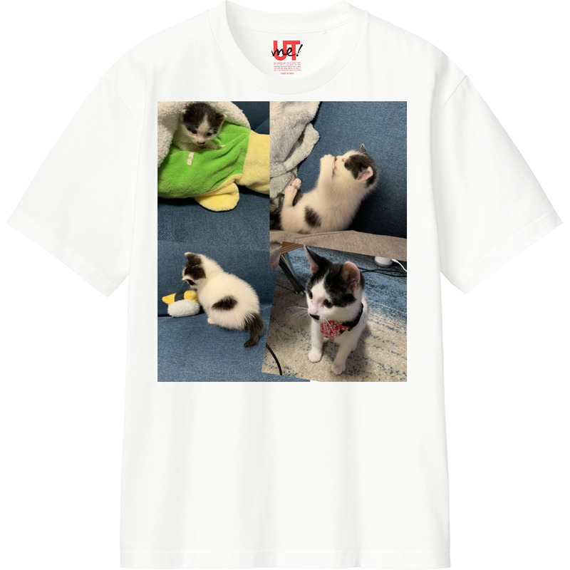 65387172 8099 4c0e 981e ddfea43015aa 110 print ll