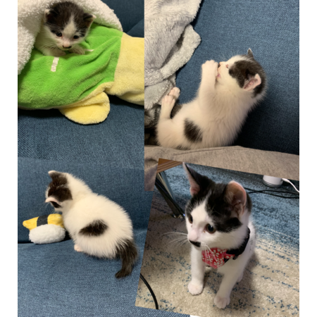 65387172 8099 4c0e 981e ddfea43015aa s