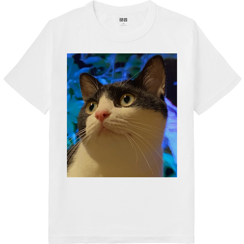 Eab5f928 8e4e 403e 9d48 fd6c911c6fc2 64 print ll