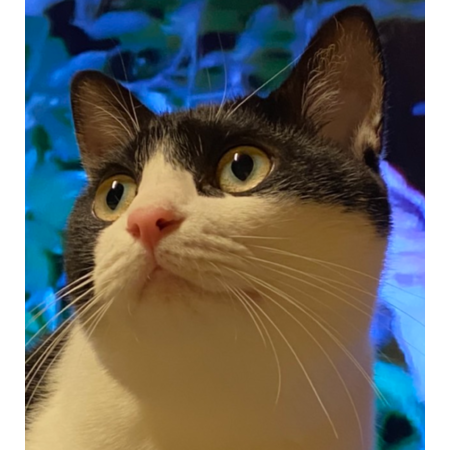 Eab5f928 8e4e 403e 9d48 fd6c911c6fc2 s