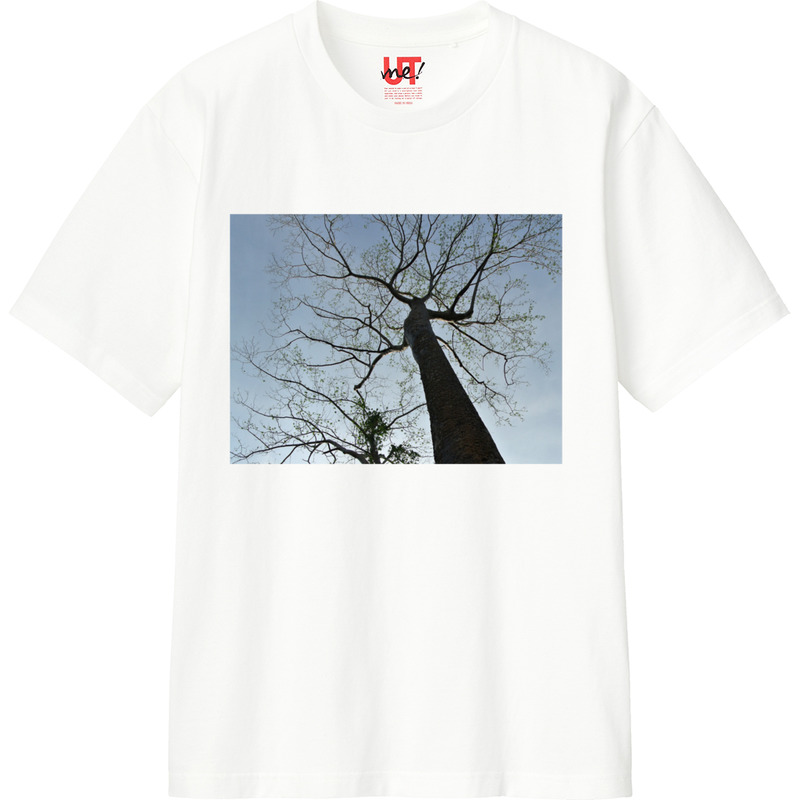 557ec06b 949b 4a50 b4f4 d5d0e1857ca9 110 print ll