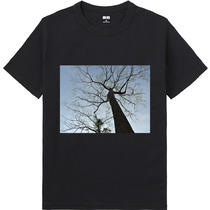 557ec06b 949b 4a50 b4f4 d5d0e1857ca9 65 print s