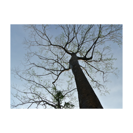 557ec06b 949b 4a50 b4f4 d5d0e1857ca9 s