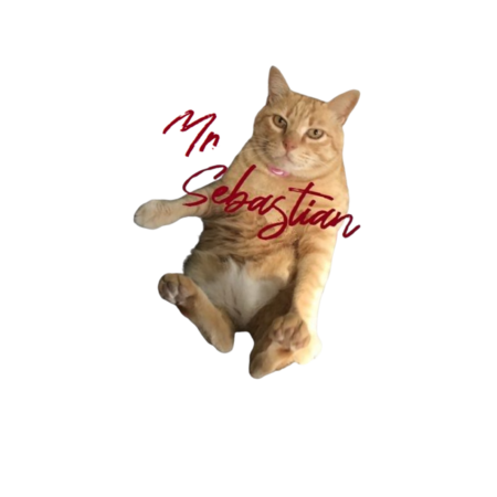 D9b6453b 7f52 4356 bd97 1a6ff7762630 s