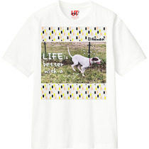 D298d91a f88b 47d6 a2c1 429e44d5721c 110 print s