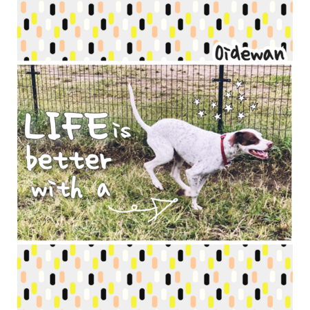 D298d91a f88b 47d6 a2c1 429e44d5721c s