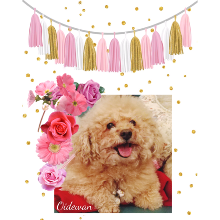 89e89e63 f27d 4b9b 97c8 6205b64c5198 s