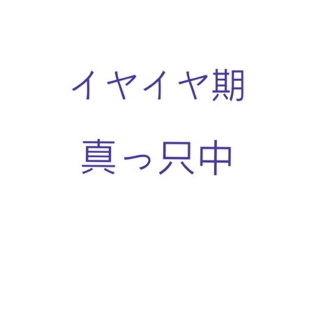 Cb88a52d 6302 45c6 85f2 99adce569e0e s