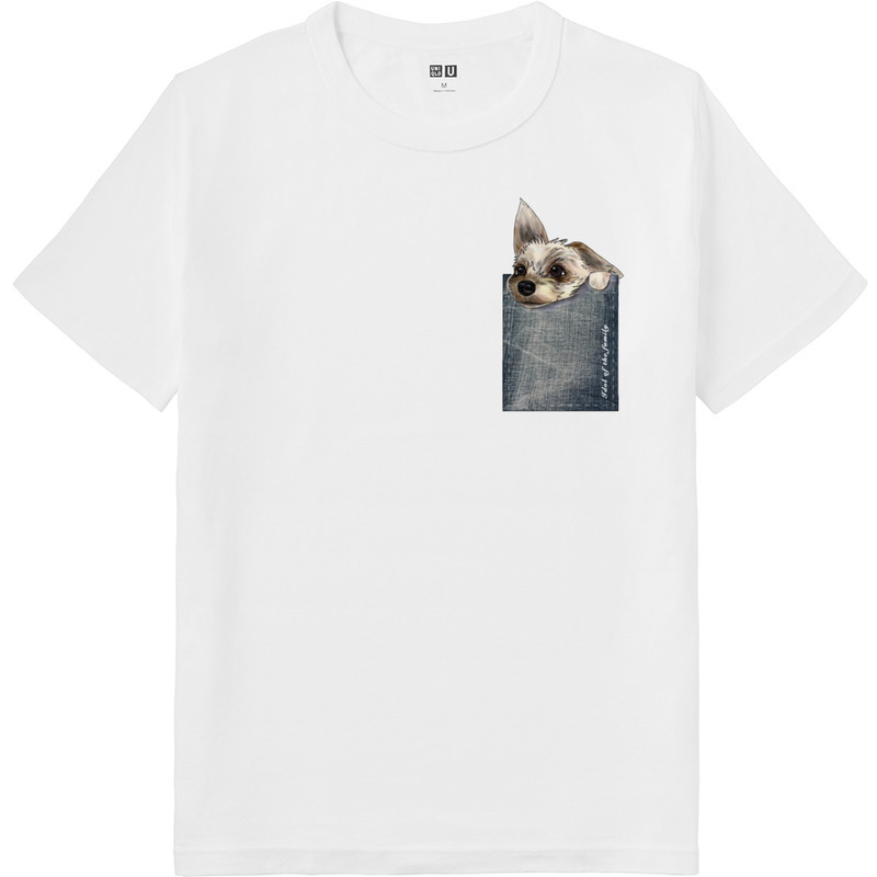 C730b5ff cfae 4e7f b022 972bf2fcdfc0 64 print ll