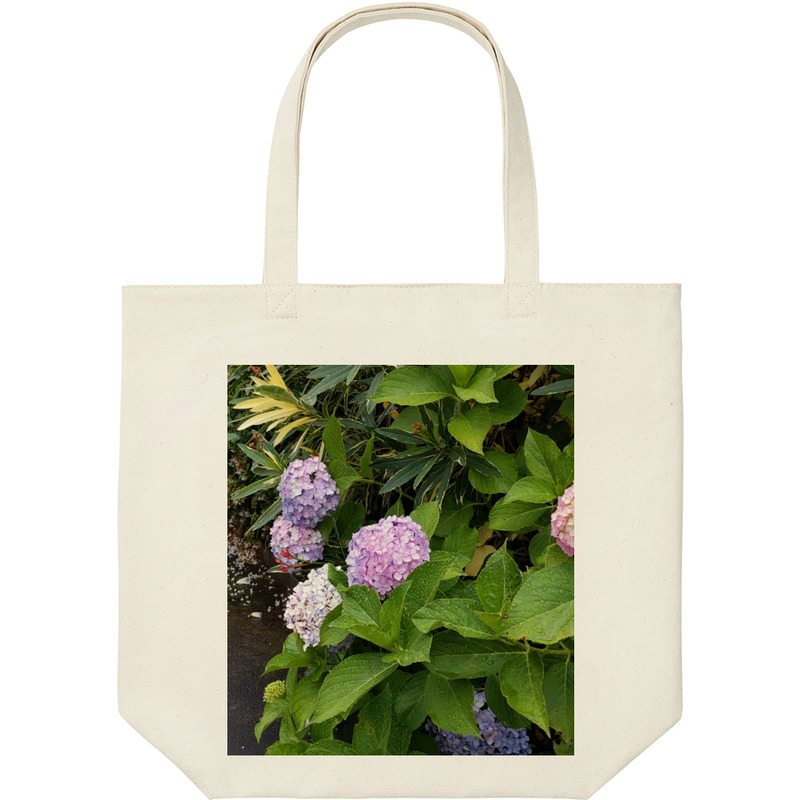 222e1346 f67d 4939 bdfb b4c2fc156a9e 9 print ll