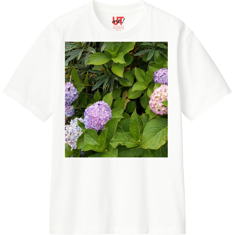 C087810a 56a6 4e0e 8a90 f738a9a22cc7 110 print ll