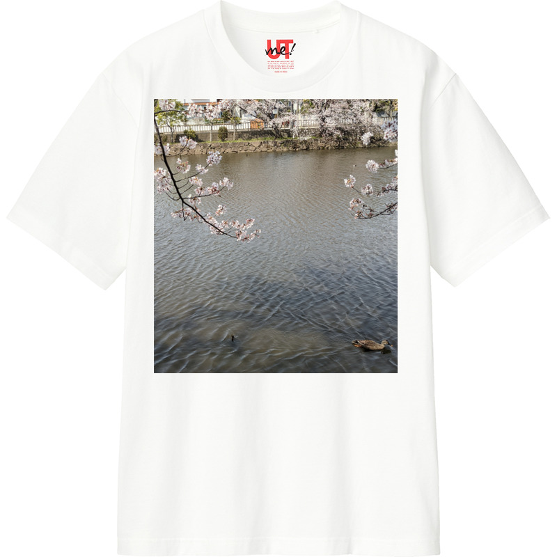 09460605 54ec 40de 82c5 c80658edfe1b 110 print ll