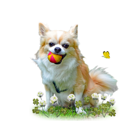 B8b8f42f 2730 4763 bb84 1d0622da357d s