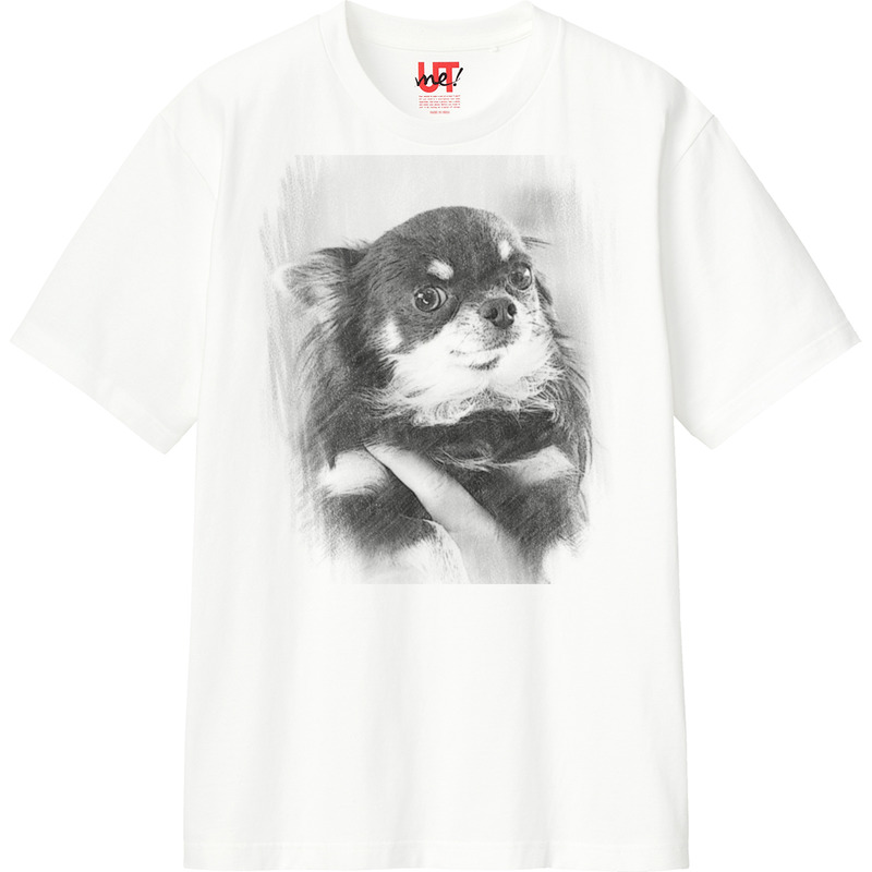 16662d93 fca6 44d7 8da5 128984ea43a2 110 print ll