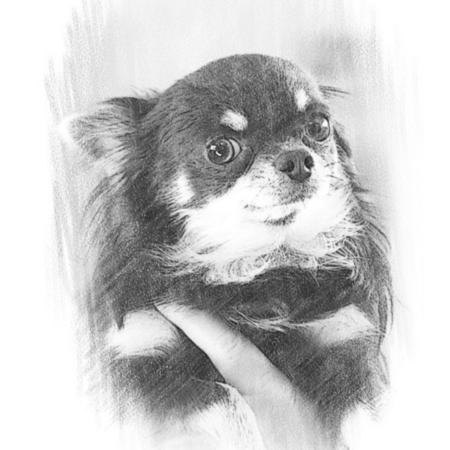 16662d93 fca6 44d7 8da5 128984ea43a2 s