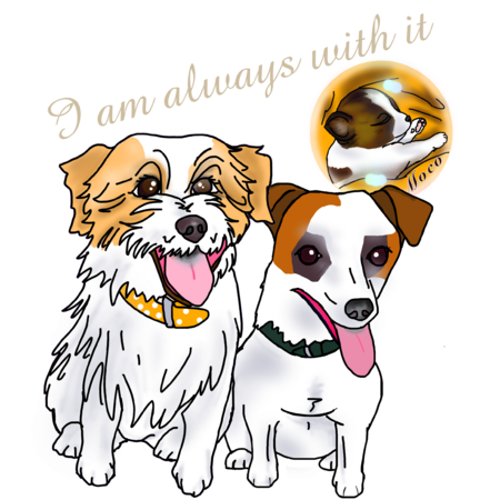 92230a30 0fc5 4da2 ba09 04d530ca8777 s