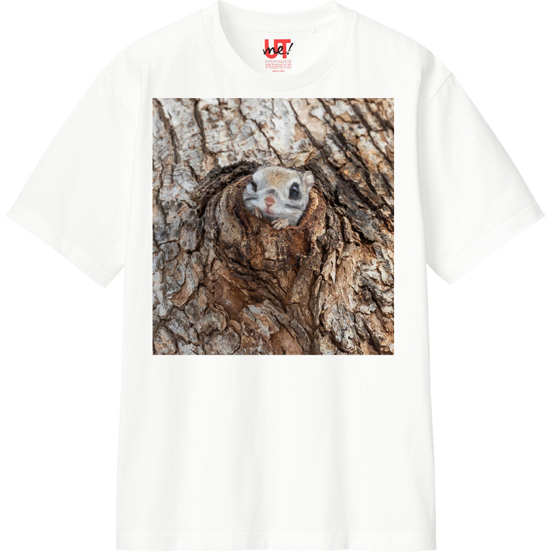 B4f0b11b 4b4f 49a7 91e6 3e291bd6c5cb 110 print ll