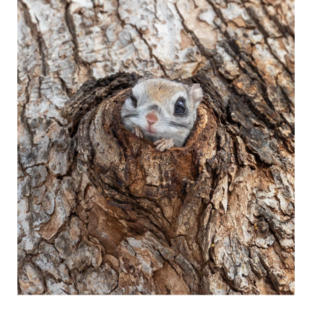 B4f0b11b 4b4f 49a7 91e6 3e291bd6c5cb s