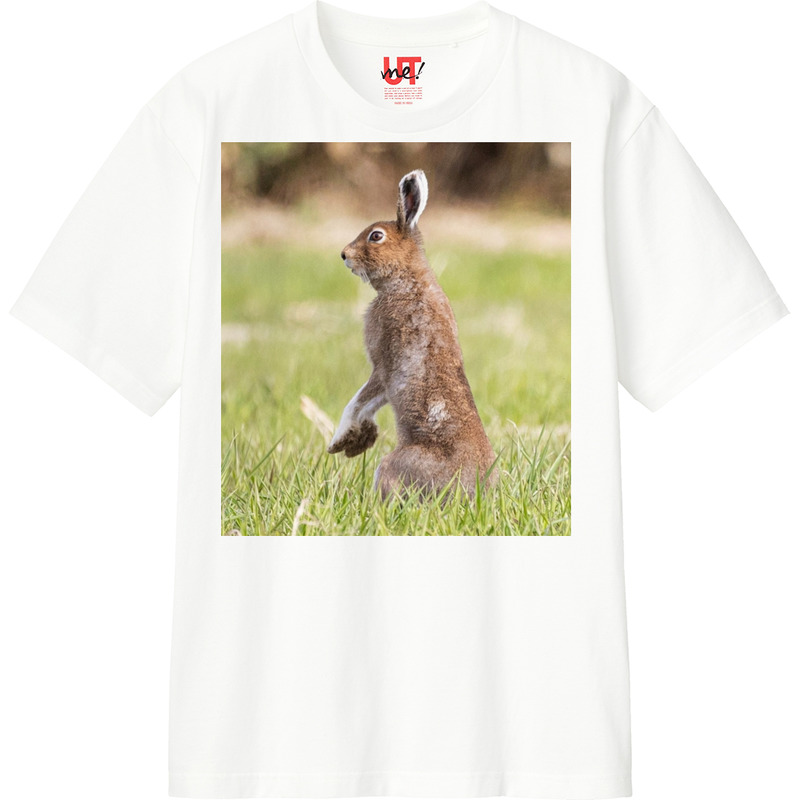 0b01dca4 4688 4070 97b6 1211abf77297 110 print ll