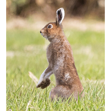 0b01dca4 4688 4070 97b6 1211abf77297 s