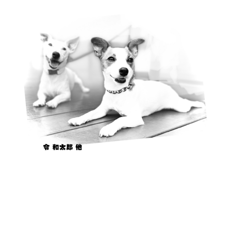 595305fe d53a 47a3 8d85 7ebbbbfca127 s