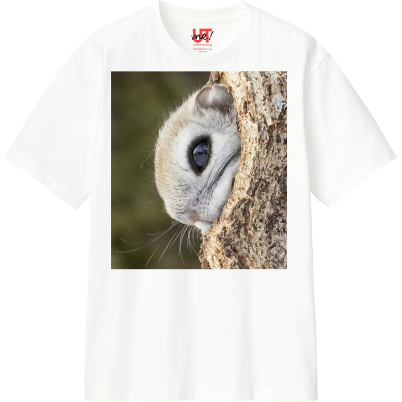 502b7995 6068 48eb bff3 9e70f7c65cbf 110 print ll