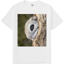 502b7995 6068 48eb bff3 9e70f7c65cbf 64 print s