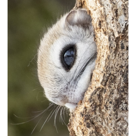 502b7995 6068 48eb bff3 9e70f7c65cbf s