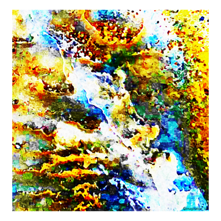 969f615c b80f 4034 898e 8885166078b5 s