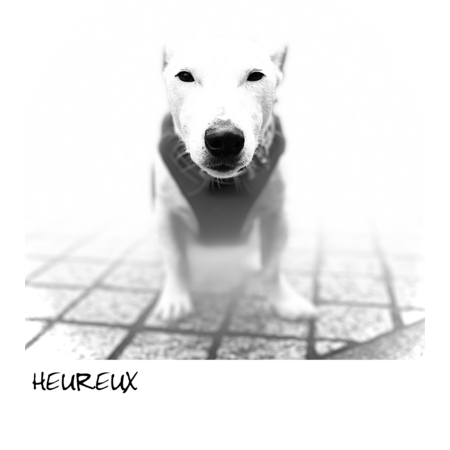 235fe79e c680 4f93 ba42 17b269f1e02d s