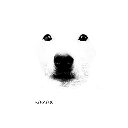 B283db4e b98b 4af7 9a89 bbf5c61989d4 s