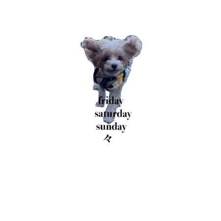 9705c1f6 c2bd 4db2 aeeb ae80ebf445e7 s