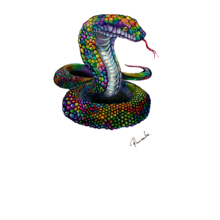 14f51a54 60b6 4f4d a2b3 bae1caf10f91 s