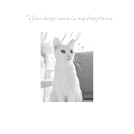 3a8406c8 3fec 438c 99b6 fcb0bf3c58ca s