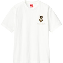 93d16b74 264a 40da 9f0b 90a2016118d2 110 print s