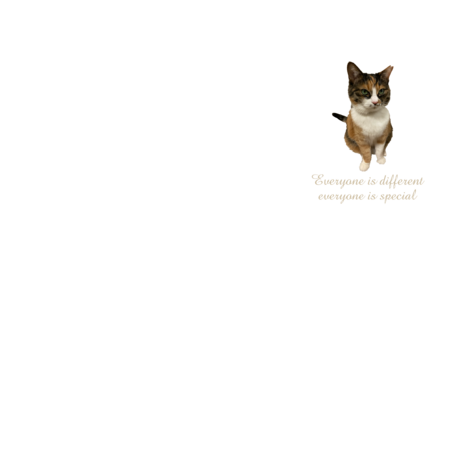 93d16b74 264a 40da 9f0b 90a2016118d2 s