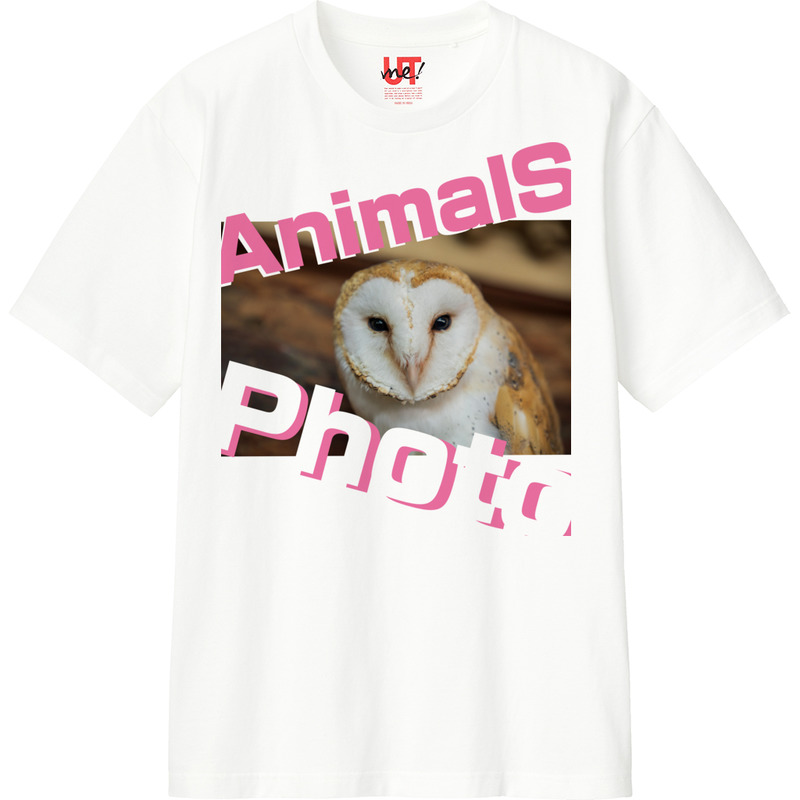 0215e1e1 e9c9 45ed b2cf 6105750bf9db 110 print ll