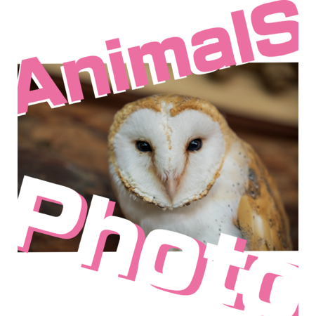 0215e1e1 e9c9 45ed b2cf 6105750bf9db s