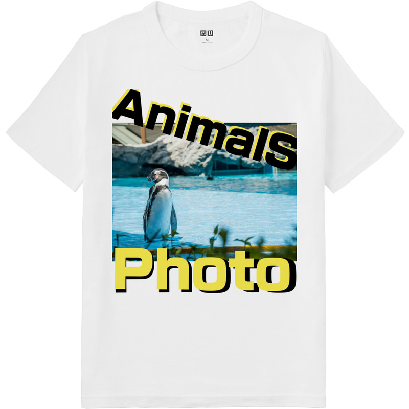 Febdcc7a 99e4 4278 93f6 4d47a36267dd 64 print ll