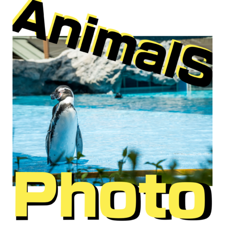 Febdcc7a 99e4 4278 93f6 4d47a36267dd s