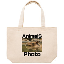 25907997 f008 4b20 891a e3ce3efaa180 53 print s